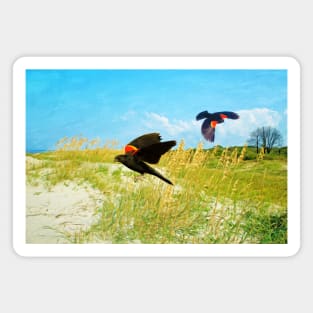 Red-Winged Blackbirds Magnet